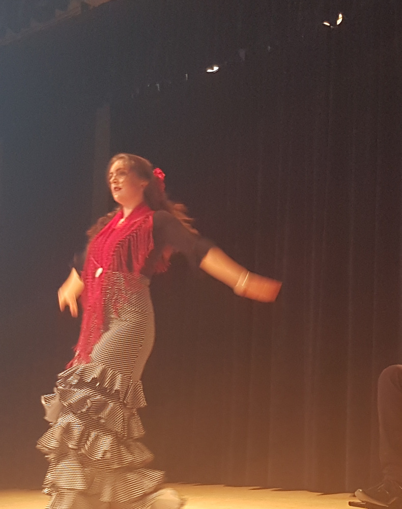 Flamencodanseres tijdens een optreden; uitsnede rond gezicht en armbeweging